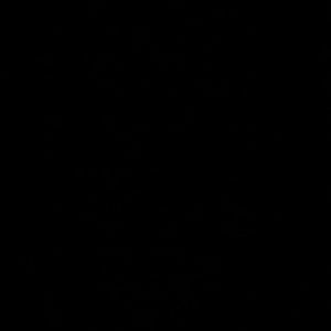 Meet your Posher, Alison